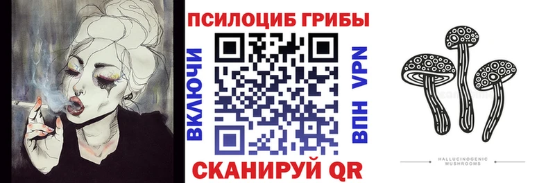 как найти наркотики  Новоалтайск  нарко площадка официальный сайт  Псилоцибиновые грибы GOLDEN TEACHER 