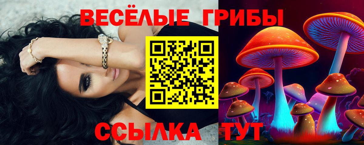 Галлюциногенные грибы мицелий  Псилоцибиновые грибы Magic Shrooms  Новоалтайск  Вход с VPN 