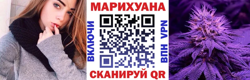 магазин продажи наркотиков  Новоалтайск  Каннабис сатива 