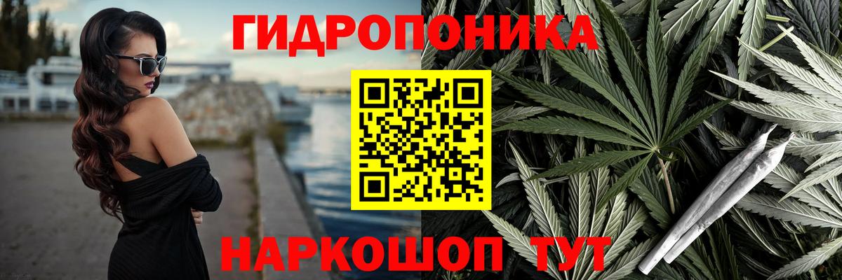 Конопля индика  Бошки Шишки индика  Новоалтайск  Вход с VPN 